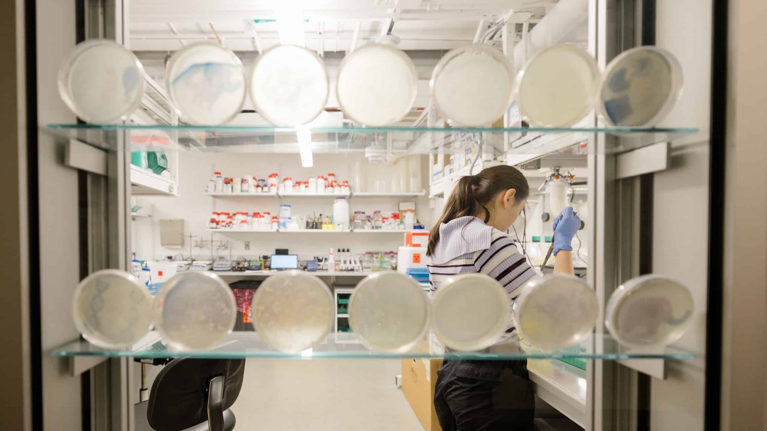 Laboratory technician handling test tubes with liquids in a modern science lab setting.